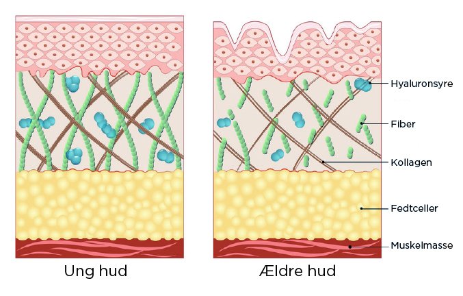 Hvad sker der med min hud når den ældes? - Cosmo Laser